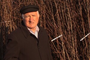 Voćne sadnice kompanije Superior