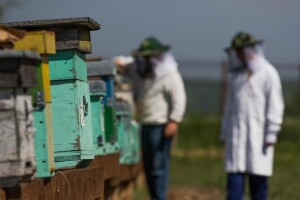 Zbog zabrane kretanja za starije, SPOS traži pomoć mlađih pčelara