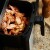 Air fryer: Je li friteza na vrući zrak štetni alat u kuhinji ili zdravi pomoćnik?