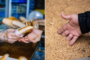 Kako je kifla od 20 grama postala skuplja od 1 kilograma pšenice?