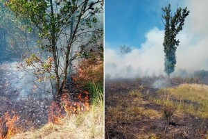 "Vojvodinašume": Pojačana opasnost od požara, ne palite vatru tamo gde je zabranjeno