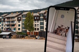 "Biće belaja": Jarići u haustoru zgrade "zapalili" mreže