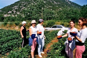 Nisu turizam samo stare kamene kuće